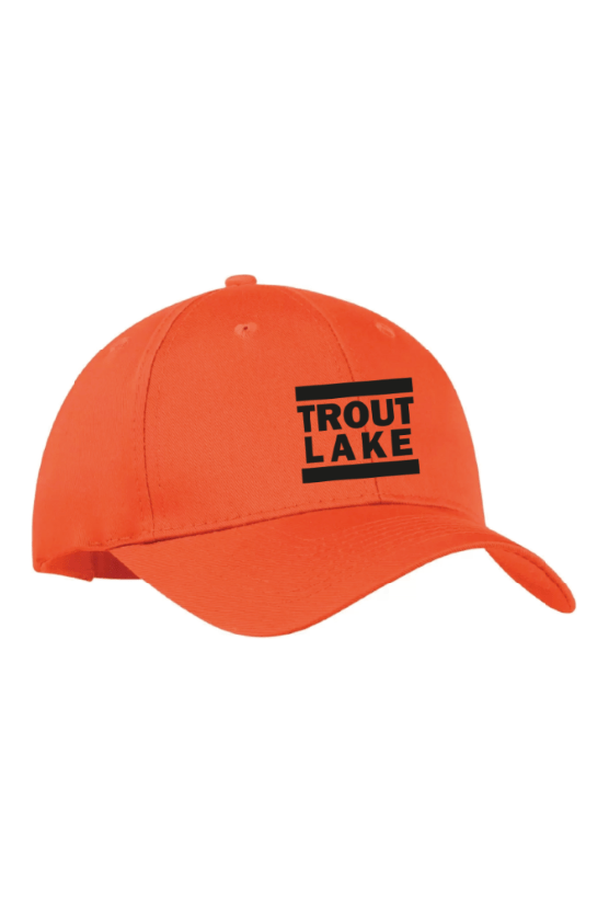 Trout Lake | Baseball Hat (Youth) - Oddball Workshop