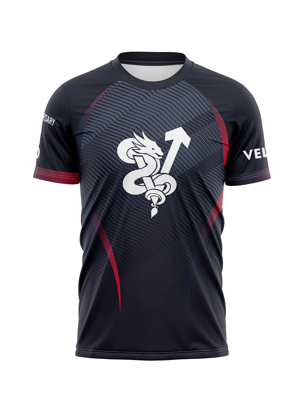 DH Velocity 30th DH Men's Team Jersey Short Sleeve - Oddball Workshop