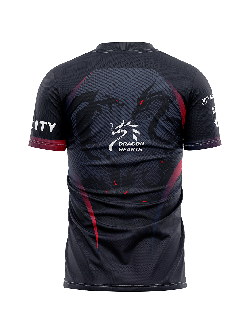 DH Velocity 30th DH Men's Team Jersey Short Sleeve - Oddball Workshop