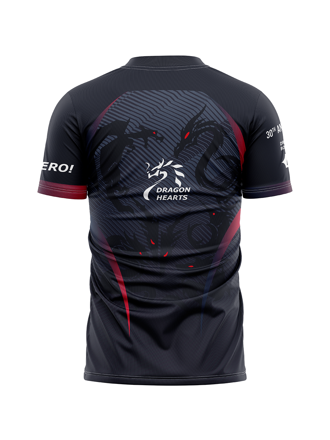 DH Zero 30th DH Men's Team Jersey Short Sleeve - Oddball Workshop