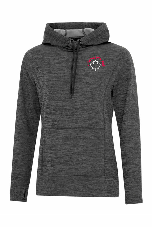 VI Paddling Gorging Dragons Women's Dynamic Heather Hoodie (Option 2) - Oddball Workshop