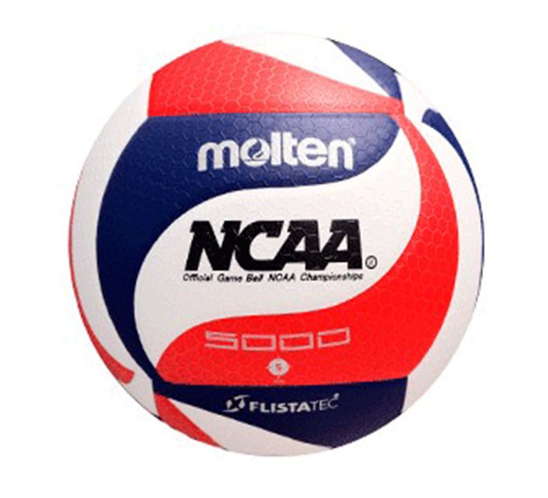 Molten V5M5000 Official Size 5 Volleyball FIVB Approved