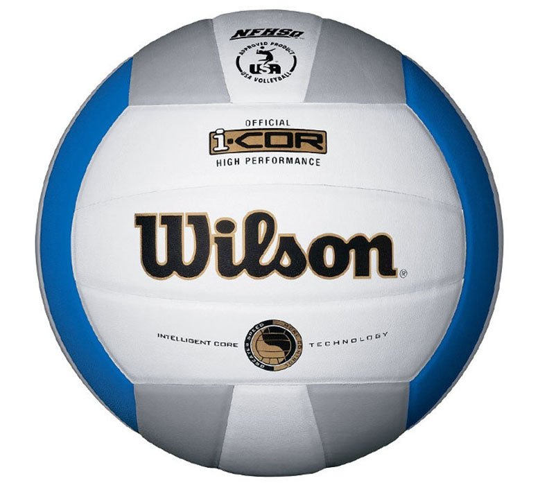Wilson Indoor Leather Volleyball - Oddball Workshop