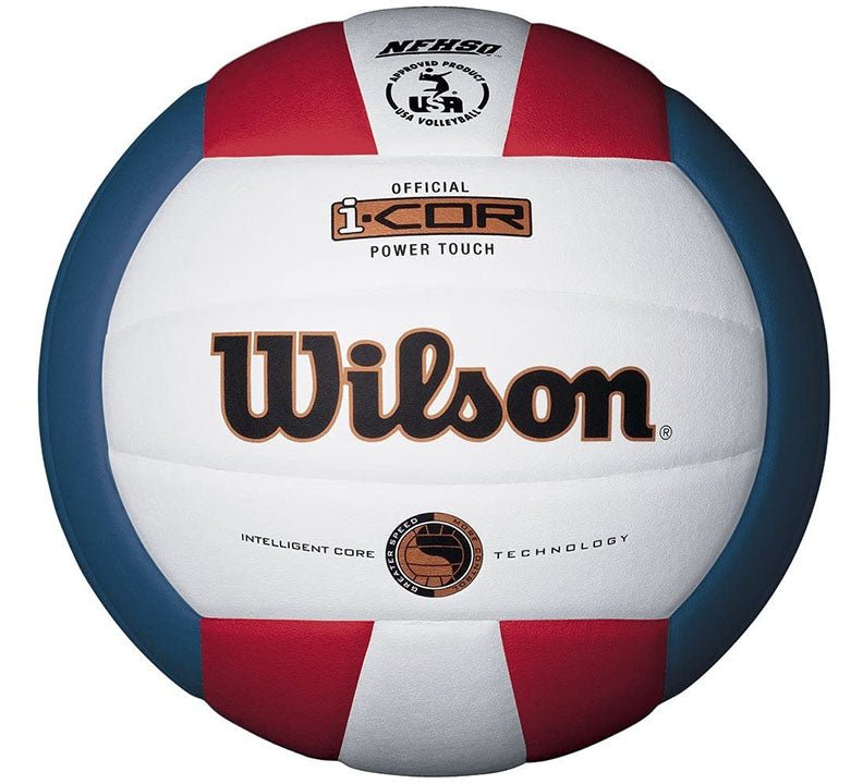 Wilson Indoor Leather Volleyball - Oddball Workshop