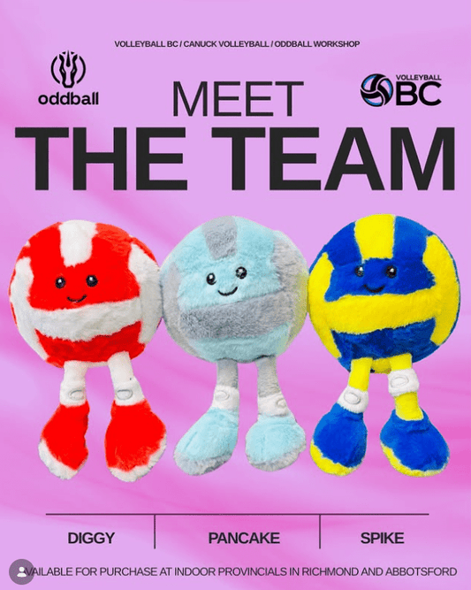 Meet Diggie, Pancake & Spike 🏐 Indoor Provincials 🔥 - Oddball Workshop