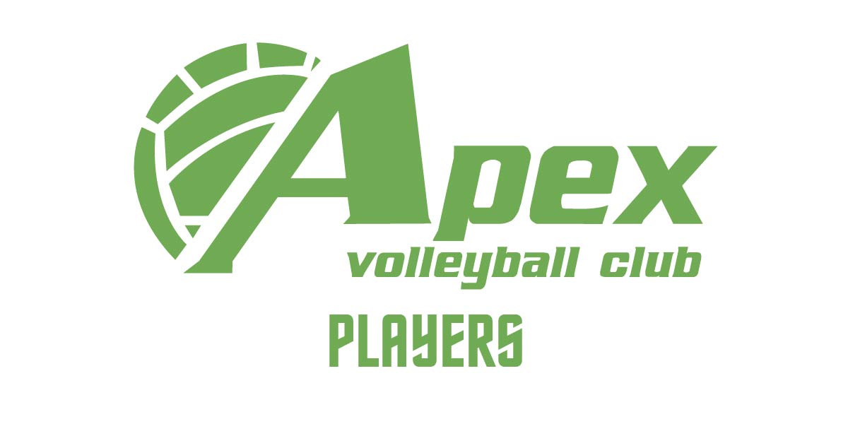 Apex Volleyball Club - Players - Oddball Workshop