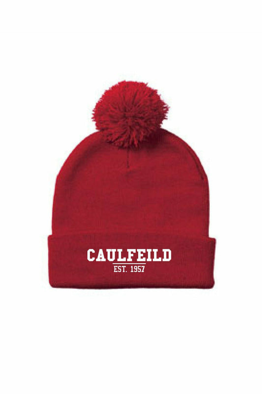 Caulfeild Beanie with Pom Pom - Oddball Workshop