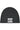 Trout Lake | Board Beanie - Oddball Workshop