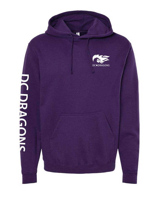 DC Dragons | Unisex Pullover Hoodie - Oddball Workshop