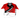 Greyhounds Masters | Women's Athletic Jersey Long Sleeve - Oddball Workshop