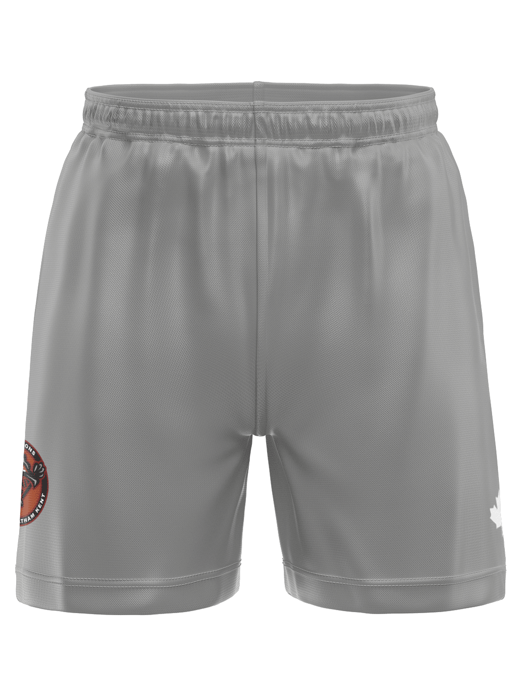 Raging Dragons | Men's Team Shorts - Oddball Workshop