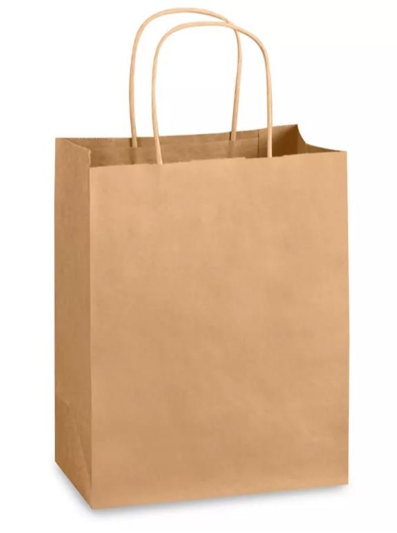 Paper Bag - Large - Oddball Workshop