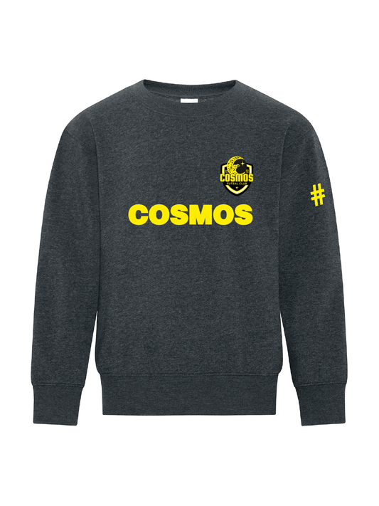 COSMOS FC | Cosmos Youth Crewneck Sweatshirt - Oddball Workshop