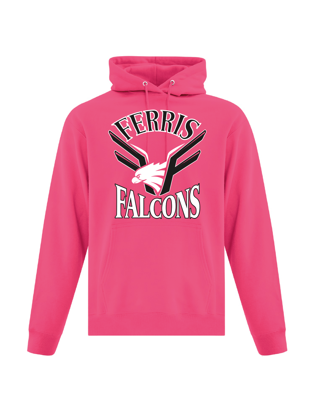 Ferris Elementary | Adult Pullover Hoodie - Oddball Workshop