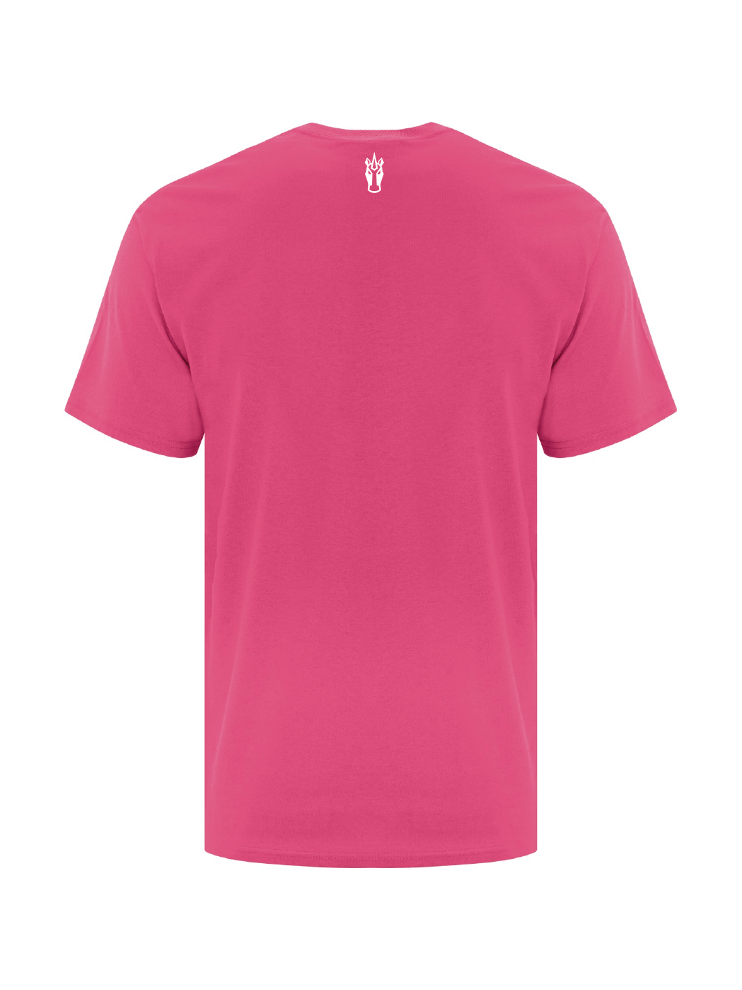 Ferris Elementary | Adult T-Shirt - Oddball Workshop