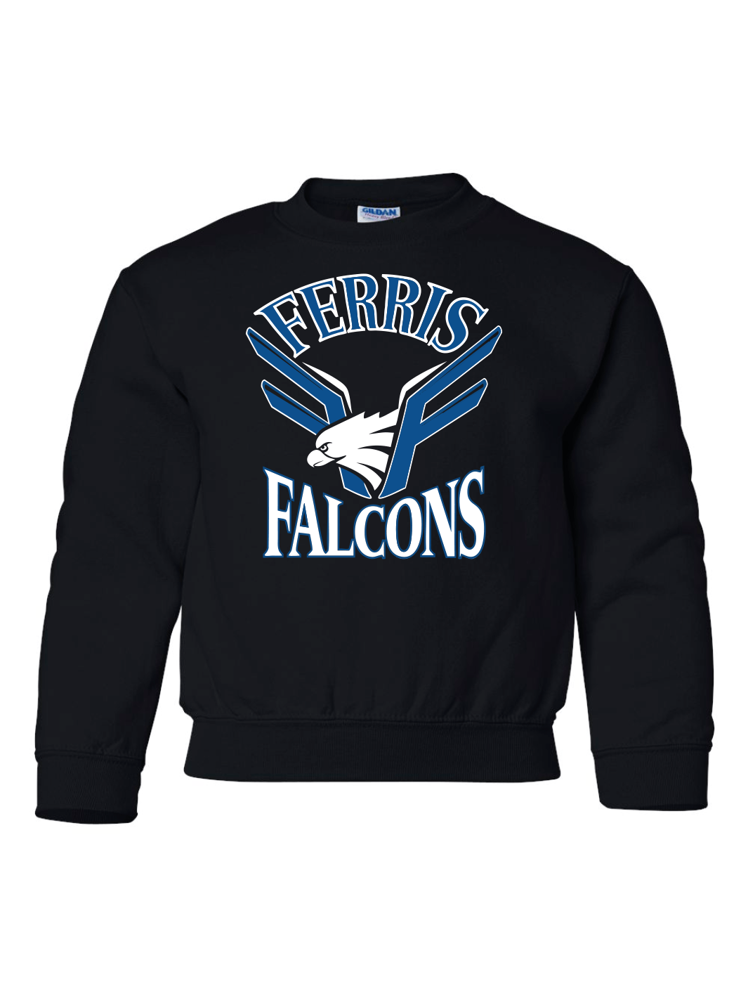Ferris Elementary | Youth Crewneck Sweatshirt - Oddball Workshop