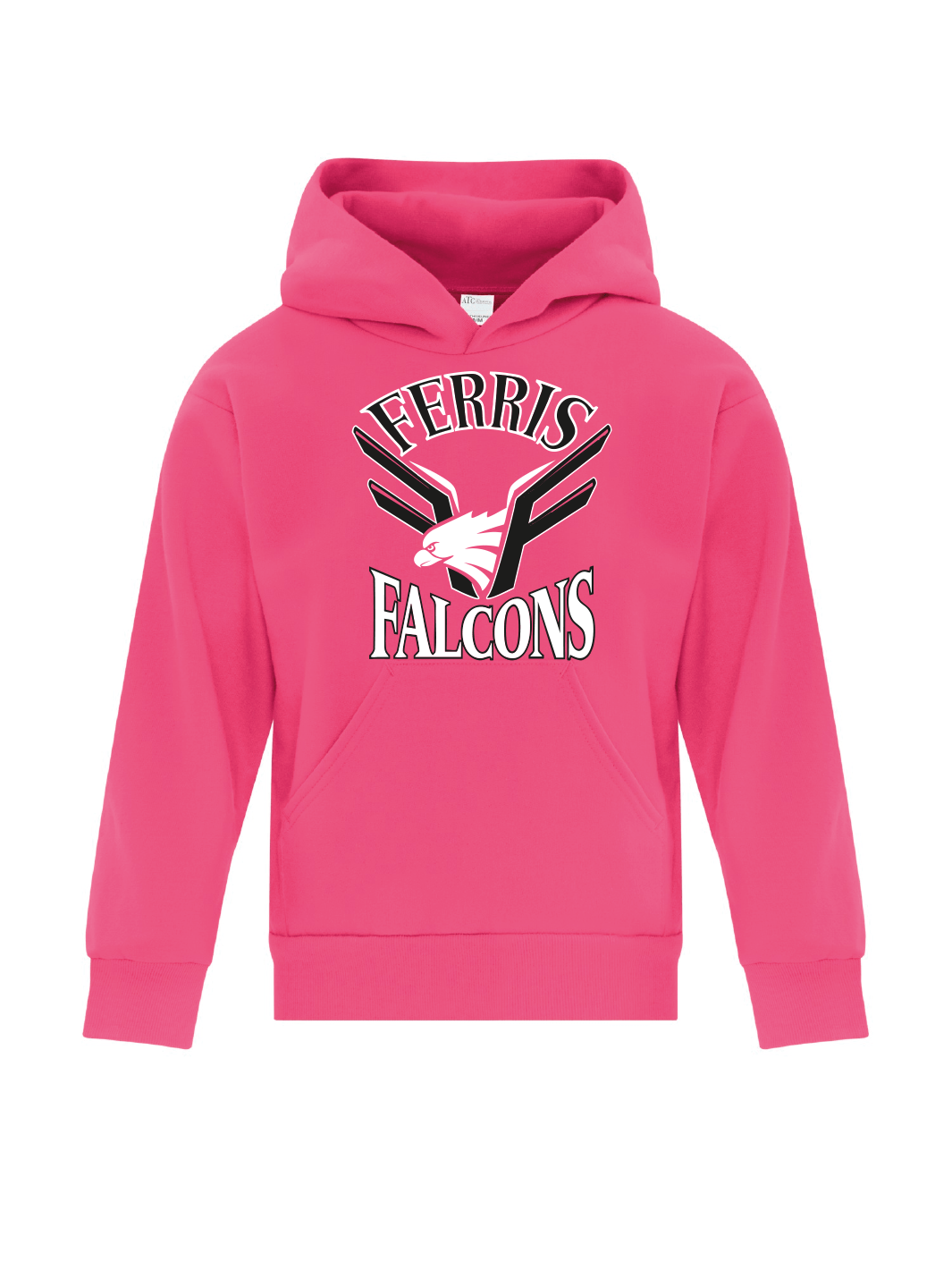 Ferris Elementary | Youth Pullover Hoodie - Oddball Workshop