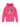 Ferris Elementary | Youth Pullover Hoodie - Oddball Workshop