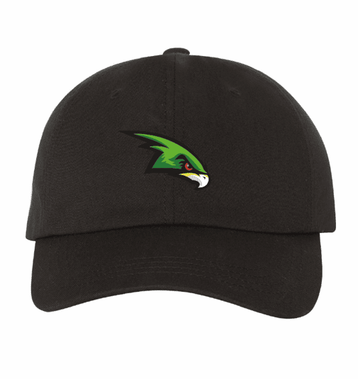 Raptors Volleyball Club | Dad Hat - Oddball Workshop
