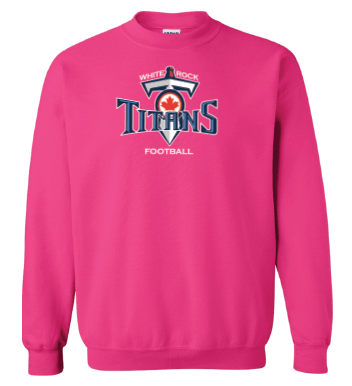 WRSS Titans | Crewneck Youth - Oddball Workshop