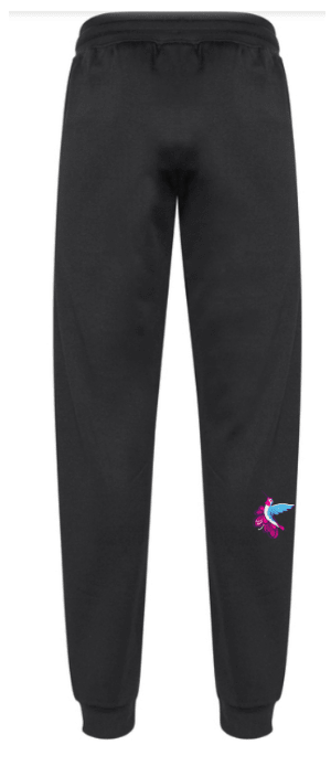 AIAB Women's Hype Jogger - Oddball Workshop