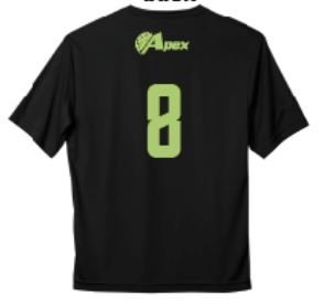 Apex Girls 12U Coach Erick YOUTH Jerseys (DriFit) - Oddball Workshop