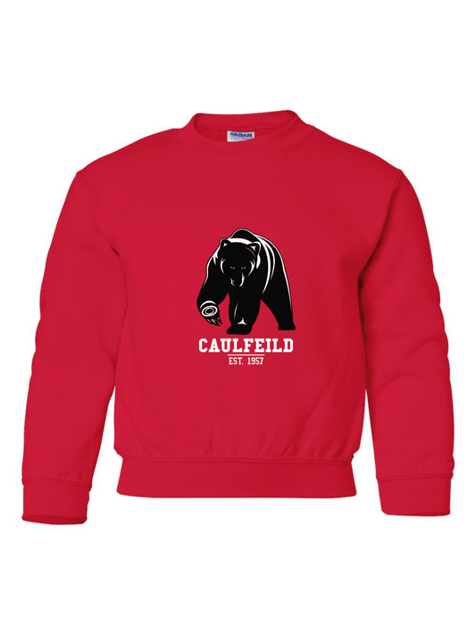 Caulfeild Crewneck Sweatshirt (Youth) - Oddball Workshop