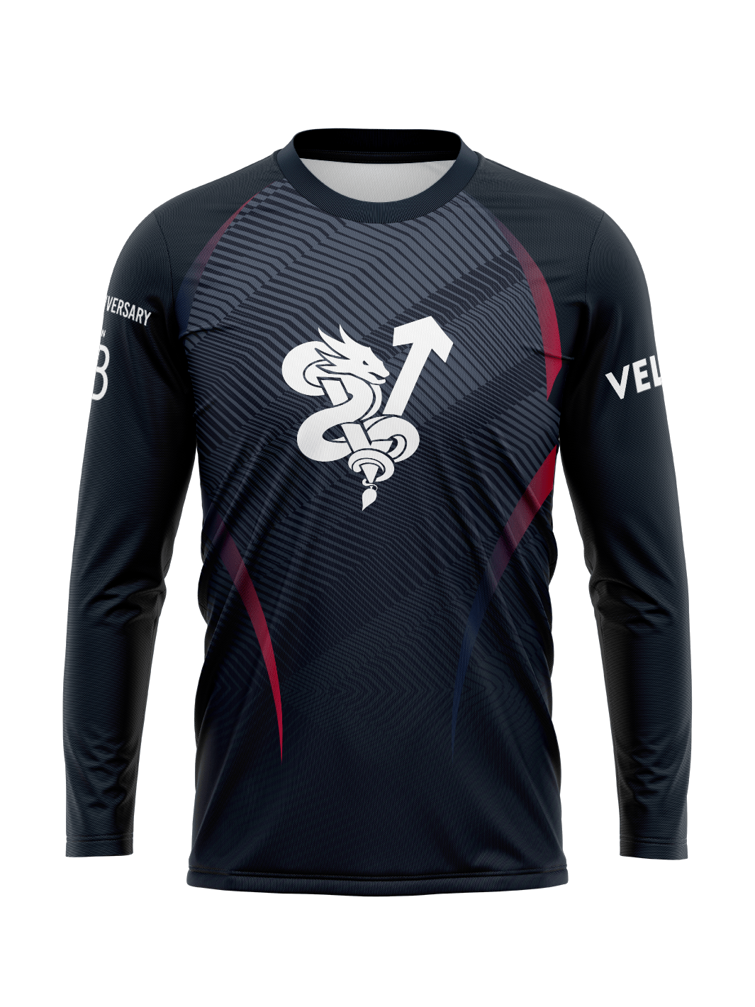 DH Velocity 30th DH Men's Team Jersey Long Sleeve - Oddball Workshop