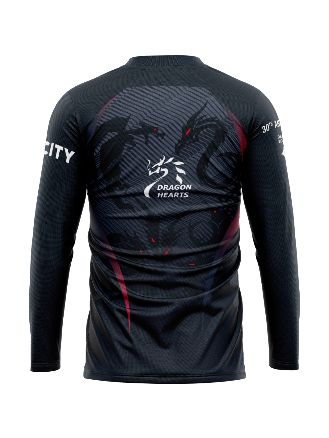 DH Velocity 30th DH Men's Team Jersey Long Sleeve - Oddball Workshop