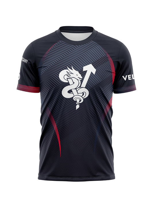 DH Velocity 30th DH Men's Team Jersey Short Sleeve - Oddball Workshop