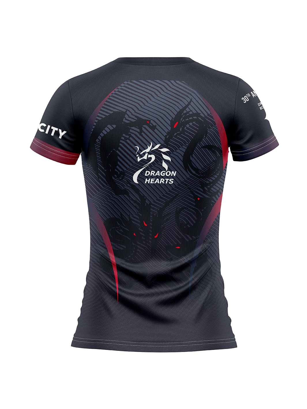 DH Velocity 30th DH Women's Team Jersey Short Sleeve - Oddball Workshop