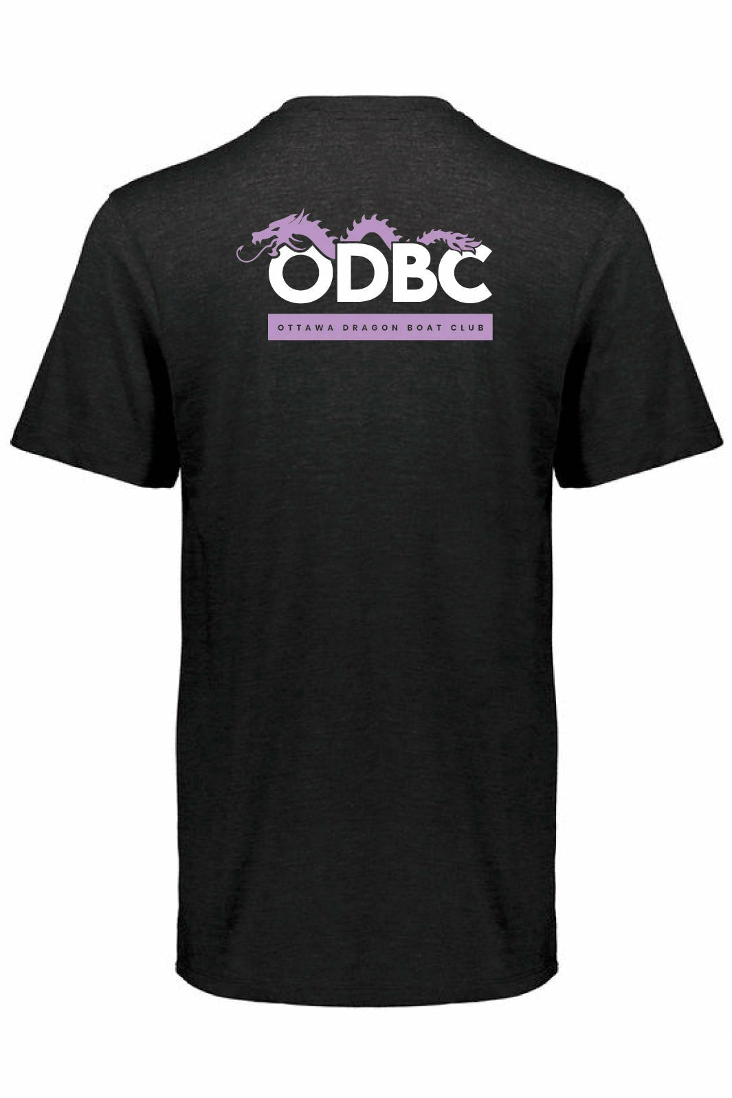 ODBC Unisex Triblend T-shirt (ODM) - Oddball Workshop