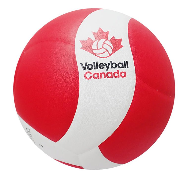 Mikasa VQ200W Competition Volleyball - Oddball Workshop