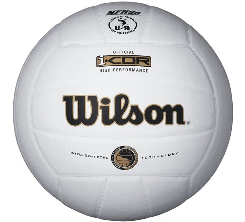 Wilson Indoor Leather Volleyball - Oddball Workshop